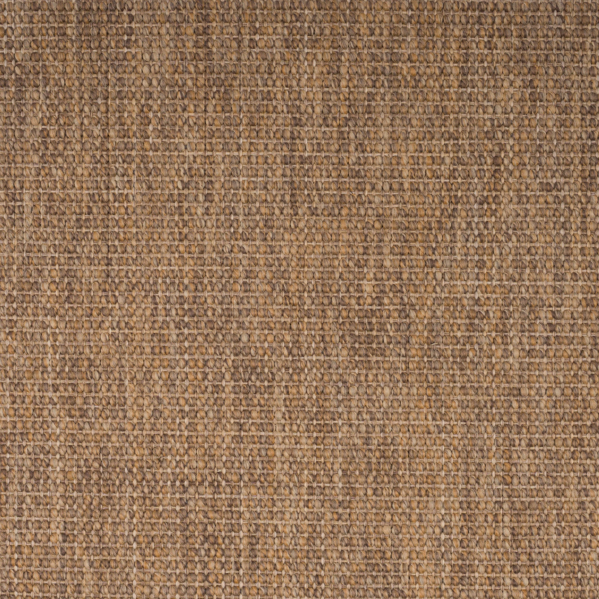 Acadia Wood