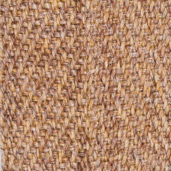 Coconut Border - Sample