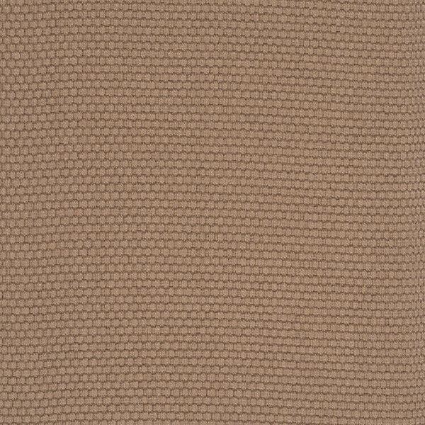 Bistre Border - Sample