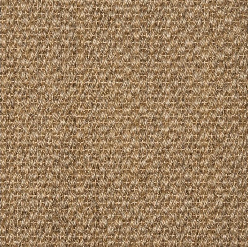Sequoia Light - Sample