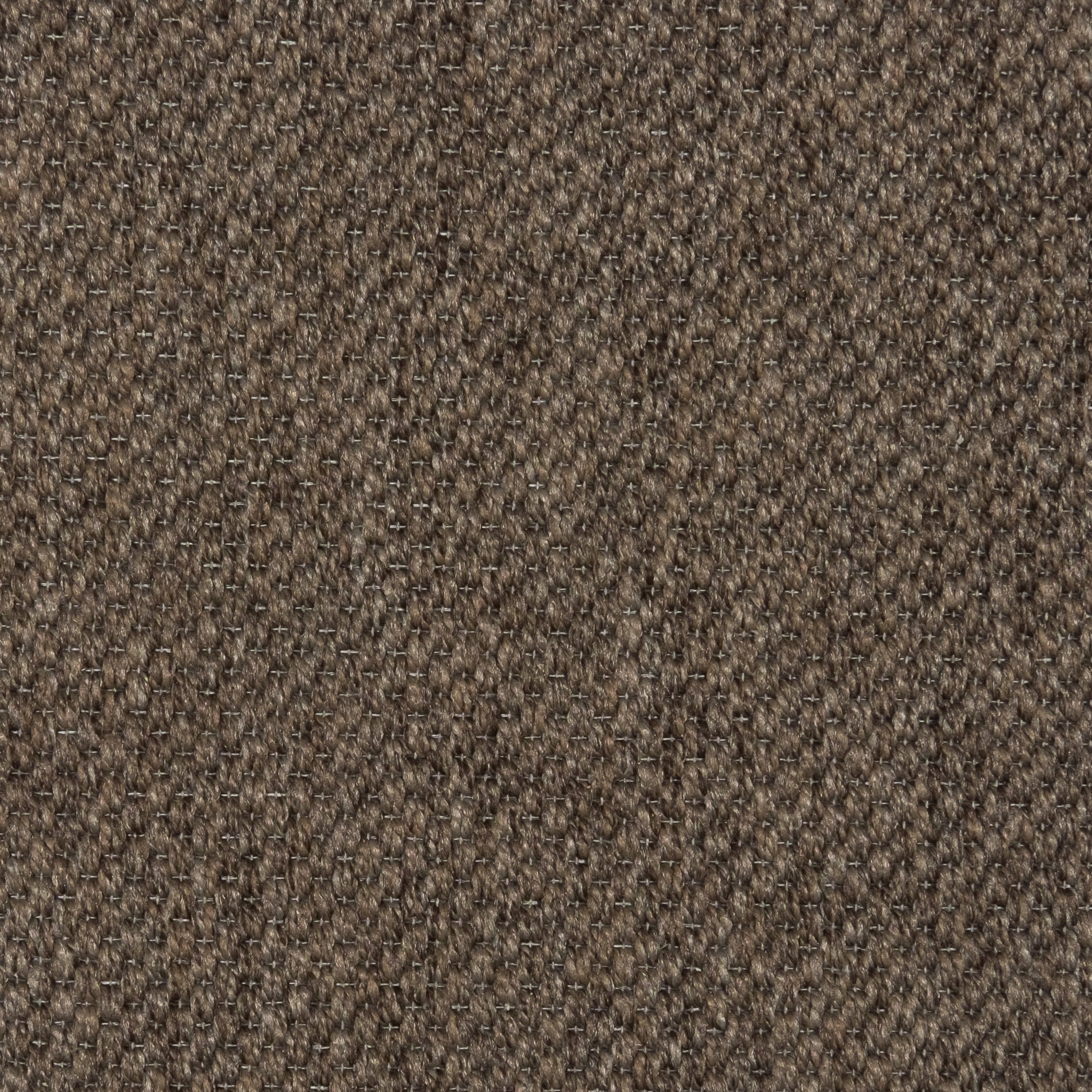 Yosemite Brown - Sample